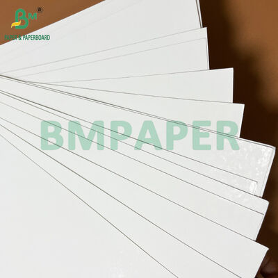 Single Side Gloss Blister Cardboard 350gsm for Toothbrush Clamshell Packing