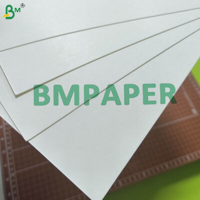 0.4mm - 2mm Absorbent Base Paper for Bottle Cap Seal Liners PE On One Side