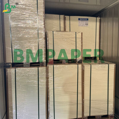 กระดาษชานอ้อยย่อยสลายได้ 80g-300g สำหรับทำจานอาหาร