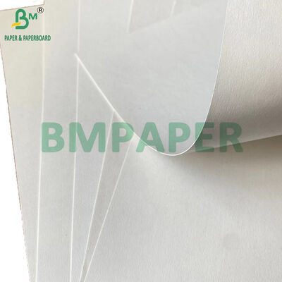 250gsm 300gsm 350gsm Sugarcane Bagasse Paper for Lunch Box Eco Packaging