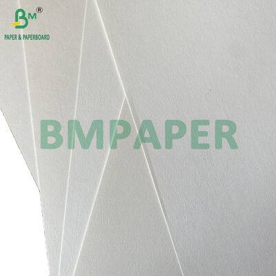 Lunch Food Container 300gr 325gr 350gr Biodegradable Sugarcane Bagasse Paper