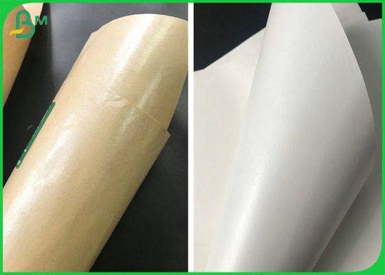 ม้วนกระดาษเคลือบ PE เกรดอาหารที่ผ่านการรับรองของสหภาพยุโรปสำหรับกล่องบรรจุภัณฑ์อาหารกลางวัน