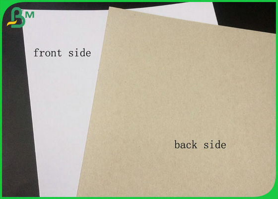 FSC ได้รับการรับรองเพล็กซ์เคลือบบอร์ดสีขาวด้านด้วยสีเทากลับในบรรจุม้วนขนาดใหญ่