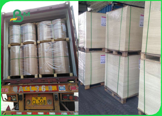 FDA FSC ได้รับการรับรองอาหารปลอดภัยทนความร้อนอบกระดาษสำหรับย่างทำอาหารบาร์บีคิว