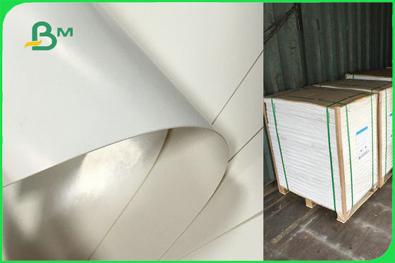 กระดาษเคลือบ PE แบบกำหนดเองด้านเดียวสำหรับแผ่นทิ้ง FSC FDA อนุมัติ