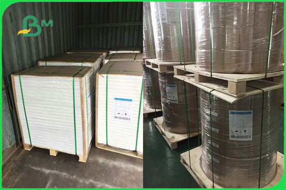 กระดาษเคลือบ PE แบบกำหนดเองด้านเดียวสำหรับแผ่นทิ้ง FSC FDA อนุมัติ