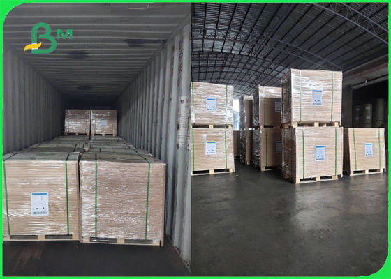 FSC อนุมัติ 70g 80g White Woodfree Paper Roll สำหรับโบรชัวร์เรียบ