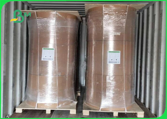 คณะกรรมการคราฟท์ฟิล์ม PE ที่ย่อยสลายได้ทางชีวภาพ 300gsm + 15g สำหรับบรรจุภัณฑ์อาหาร