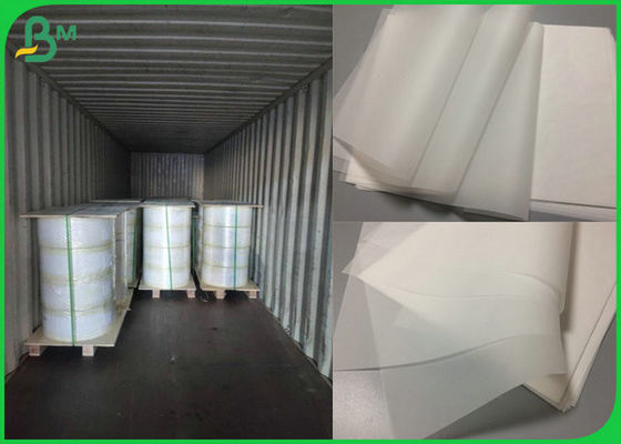 การดูดซับหมึกที่ดีม้วนกระดาษติดตาม 50gr 55gr พร้อมการรับรอง FSC