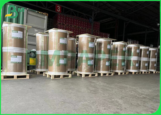 240gsm Anti - Freezer กระดาษแข็งกระดาษเคลือบด้านเดียว