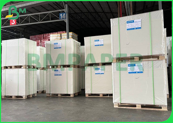 240gsm Anti - Freezer กระดาษแข็งกระดาษเคลือบด้านเดียว