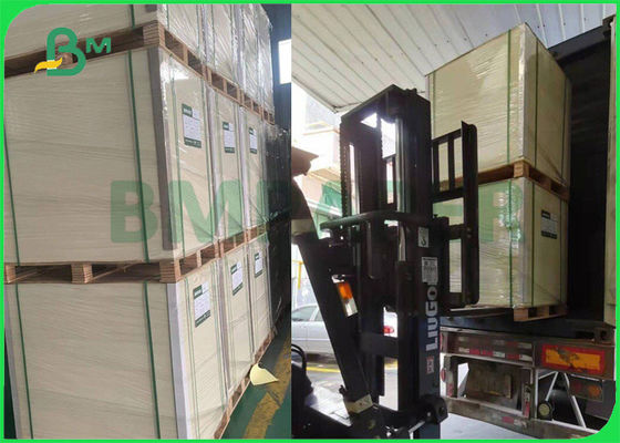 295gsm 325gsm C1S FBB Food Board สำหรับกล่องบิสกิตความแข็งที่ดี 25 '' x 37 ''