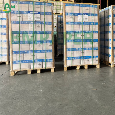 กระดาษคาร์บอนไร้กระดาษฐาน A4, Letter Size ความไวสูง CB CFB CF บรรจุแยก