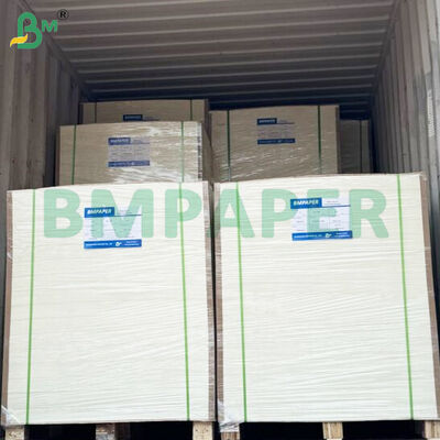 กระดาษม้วนเคลือบ PE 350gsm+15gsm สำหรับบรรจุภัณฑ์อาหาร